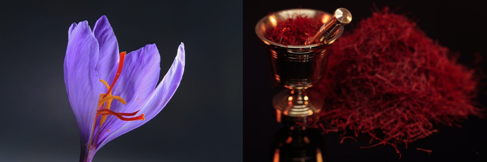 Saffron: A Deep Dive into the Golden Spice