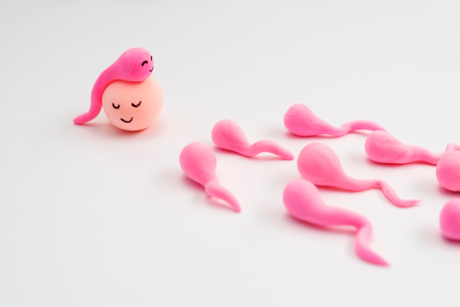 How to Increase Sperm Count?