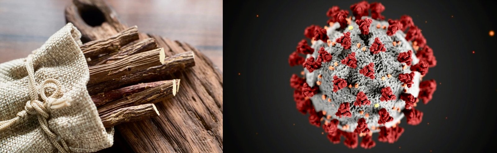 Glycyrrhiza Glabra and COVID-19: A Deep Dive into Licorice Root’s (Mulethi) Potential